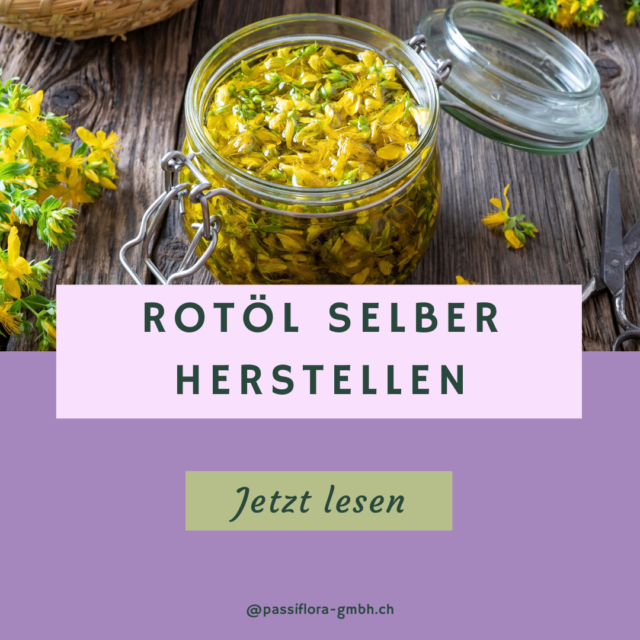 Johanniskrautöl selber herstellen