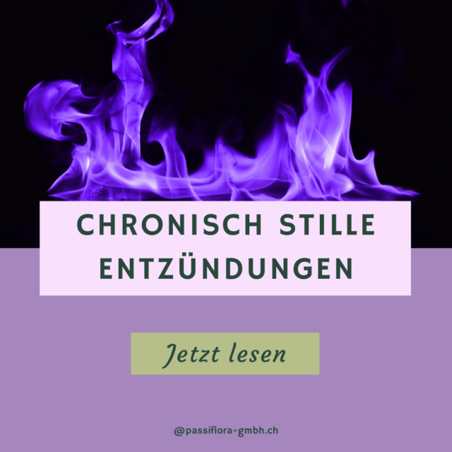 Blog Stille Entzündungen