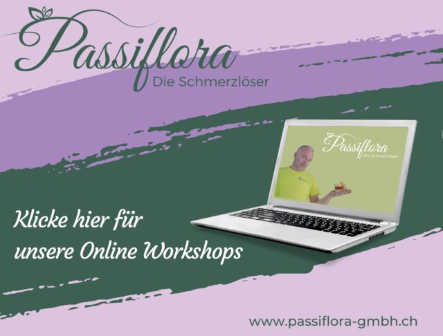 Online Workshops