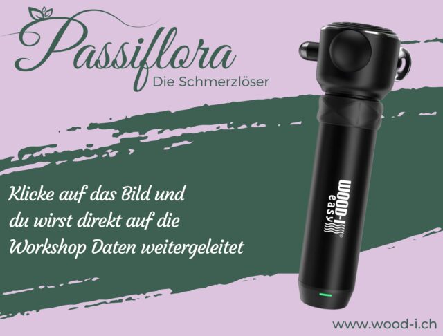 Kennlern Workshop Wood-i easy