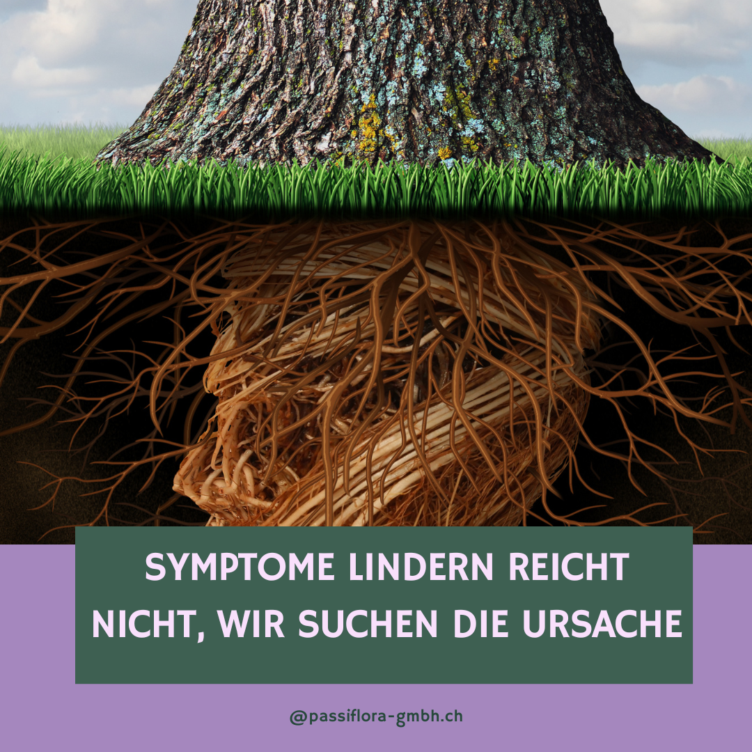 Mehr als Symptombekämpfung