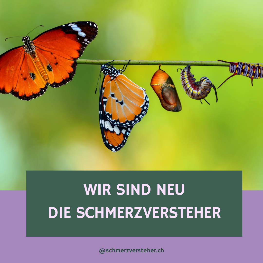 Neuer Name: Die Schmerzversteher